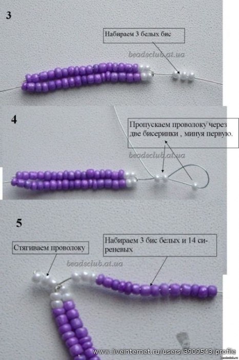 Лозунг для конкурса красоты Лозунг для конкурса красоты