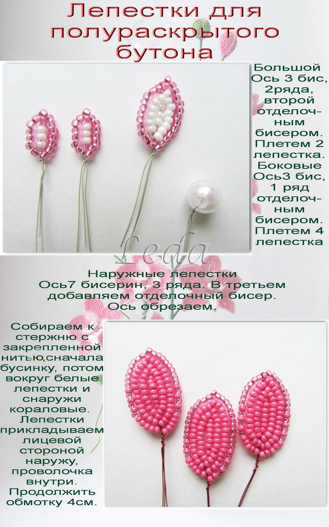 МК Орхидея 12 фотографий ВКонтакте.