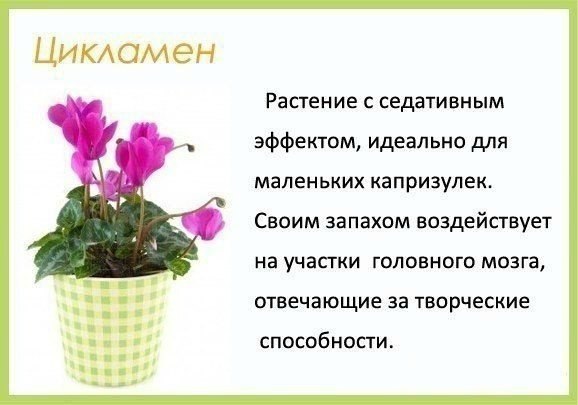 ����� �������� ����� ��������� � ������� �������