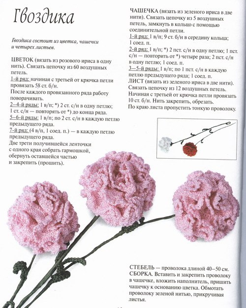 Схема гвоздики Схема гвоздики